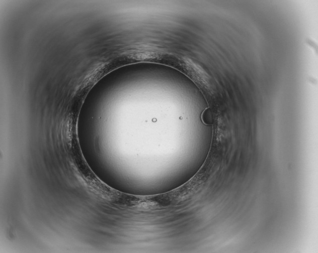 X0000097300210200802221343