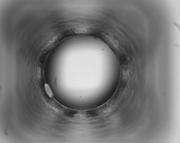 X0000097300211200802221343