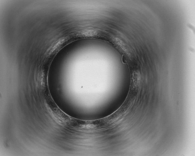 X0000097300212200802221343