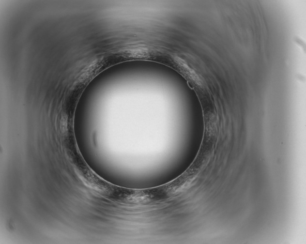 X0000097300213200802221343