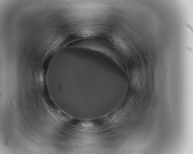 X0000097300214200802221343