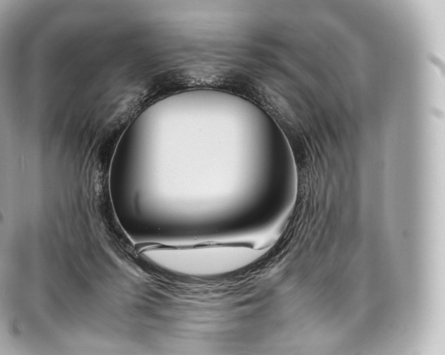 X0000097300215200802221343