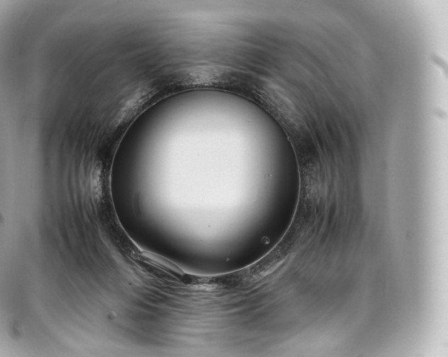 X0000097300216200802221343