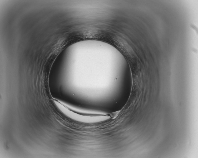 X0000097300217200802221343