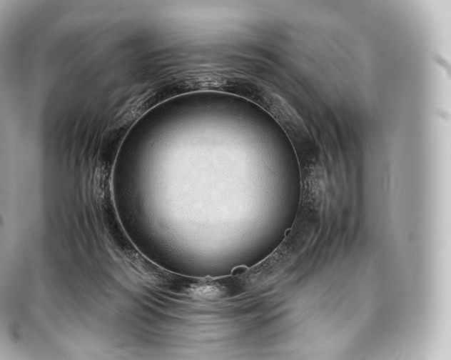 X0000097300218200802221343