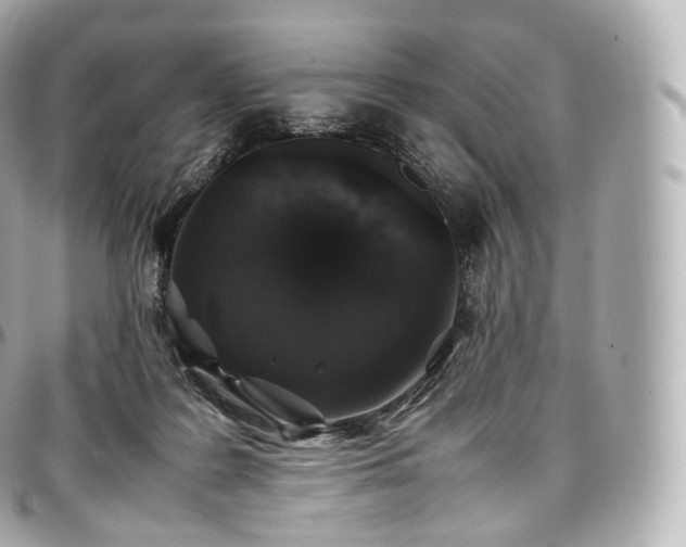 X0000097300219200802221343