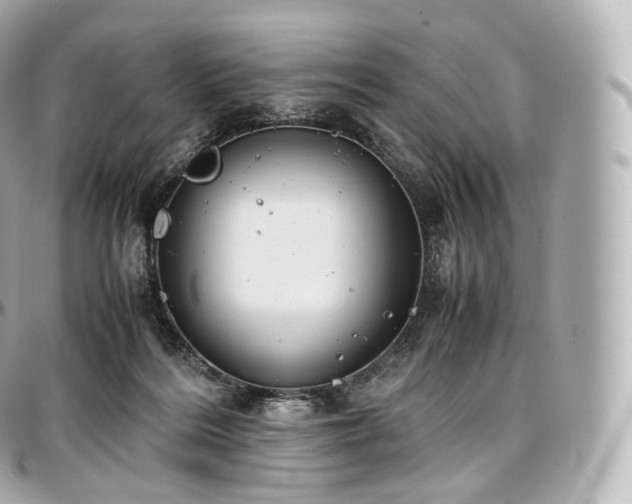 X0000097300220200802221343