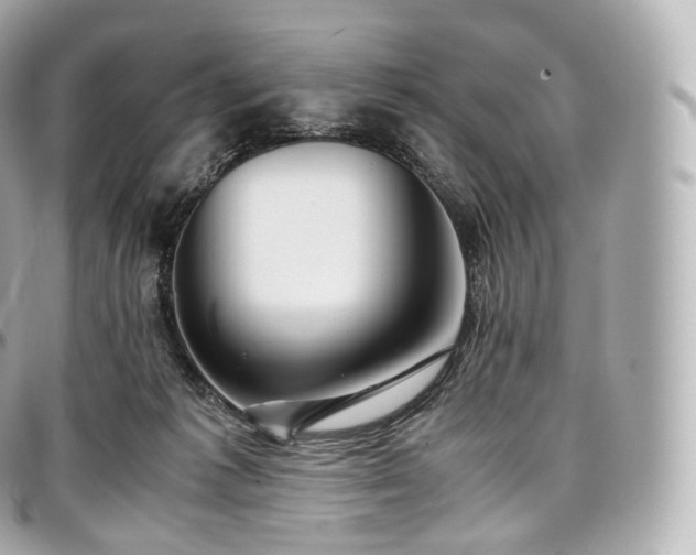 X0000097300221200802221343