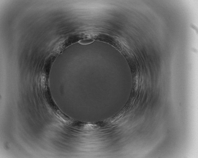 X0000097300222200802221343