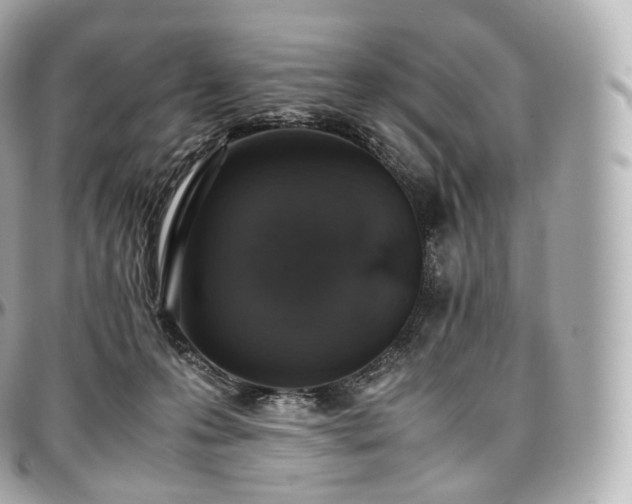 X0000097300223200802221343