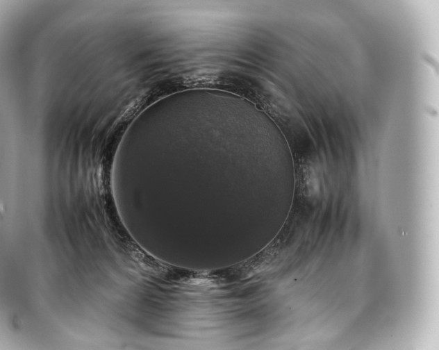 X0000097300224200802221343