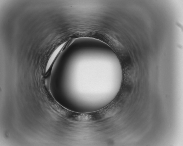 X0000097300225200802221343