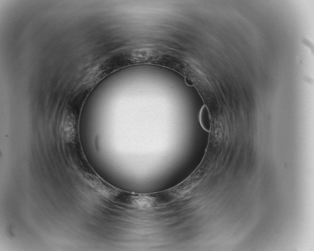 X0000097300226200802221343