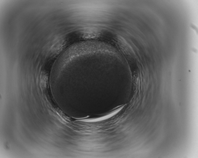 X0000097300227200802221343