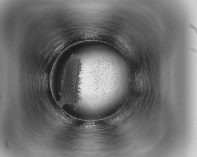 X0000097300228200802221343