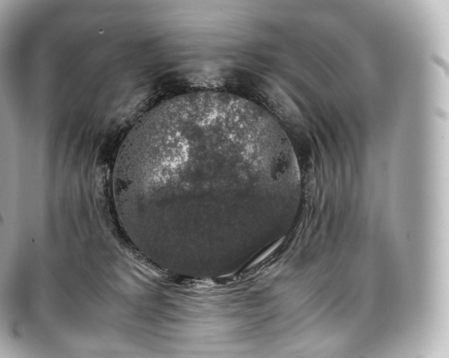 X0000097300229200802221343