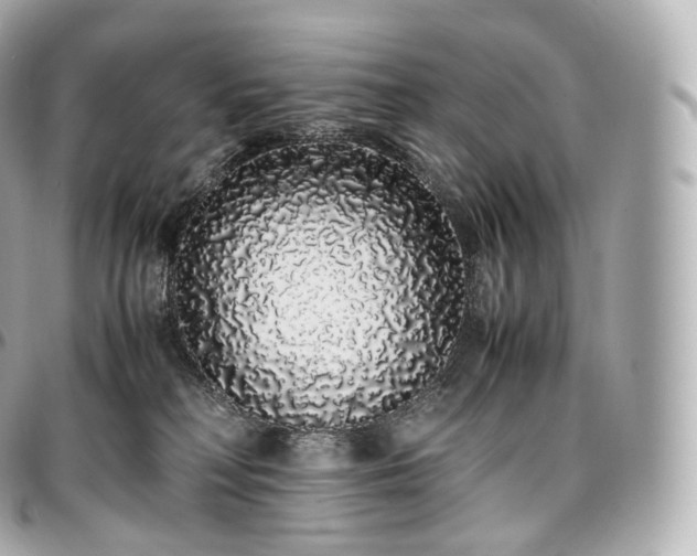 X0000097300230200802221343