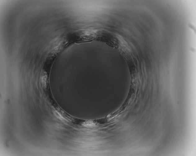 X0000097300231200802221343