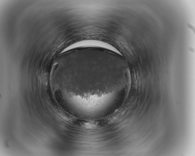 X0000097300232200802221343