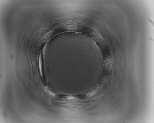 X0000097300233200802221343