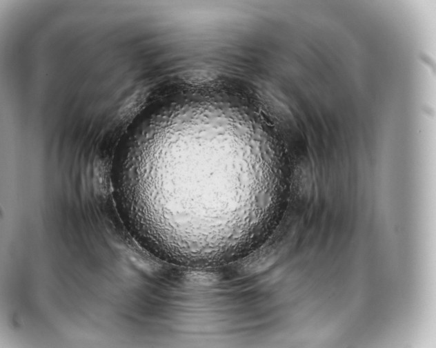 X0000097300234200802221343