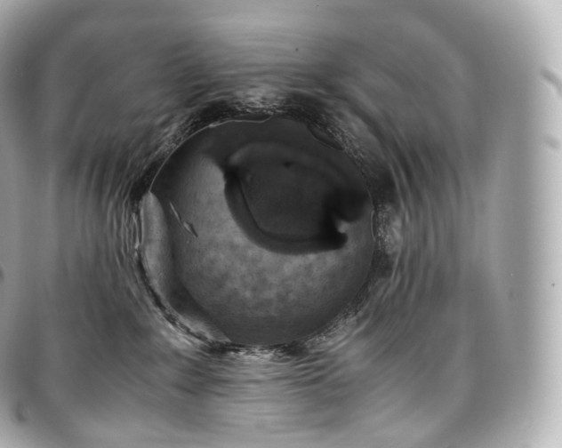 X0000097300235200802221343