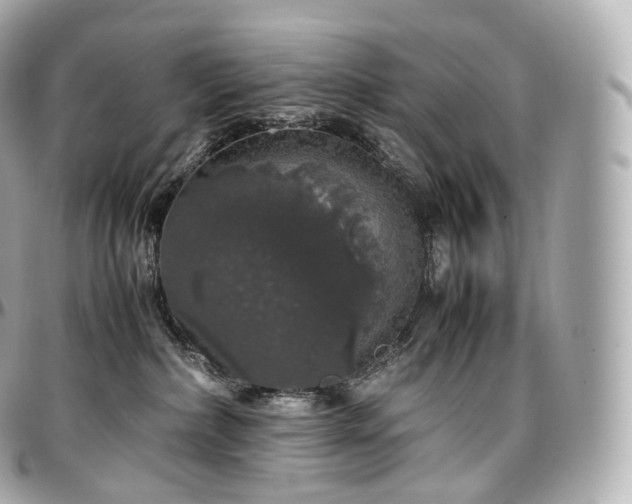 X0000097300236200802221343