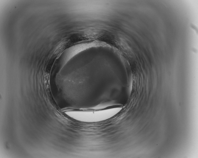 X0000097300237200802221343