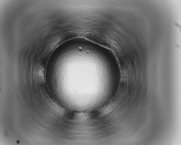 X0000097300238200802221343