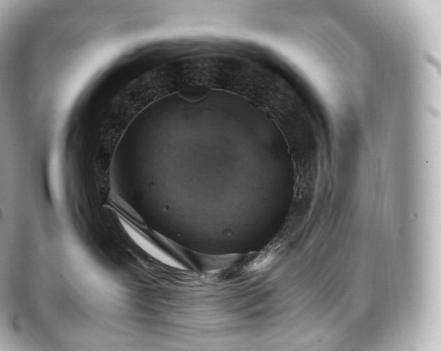 X0000097300239200802221343