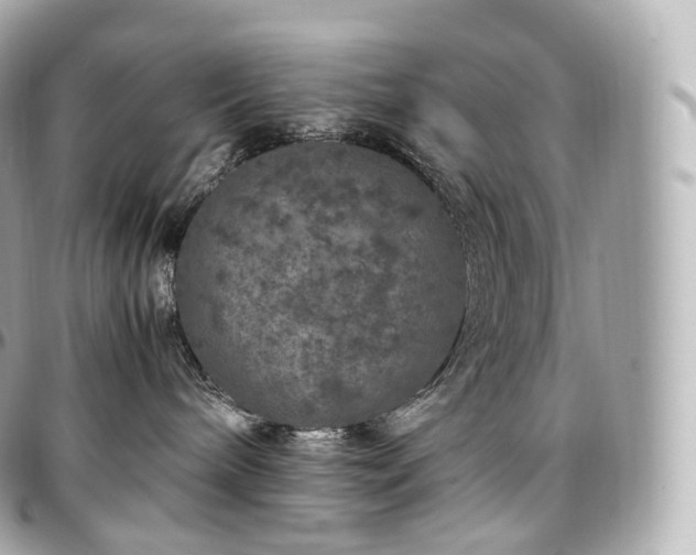 X0000097300240200802221343