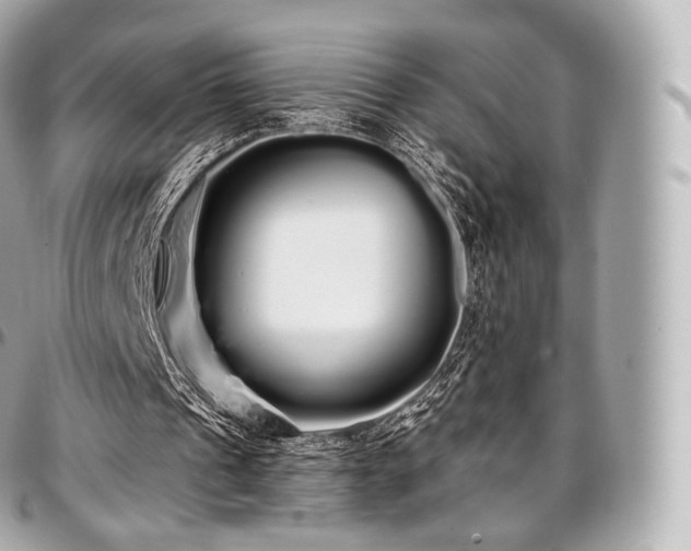 X0000097300241200802221342