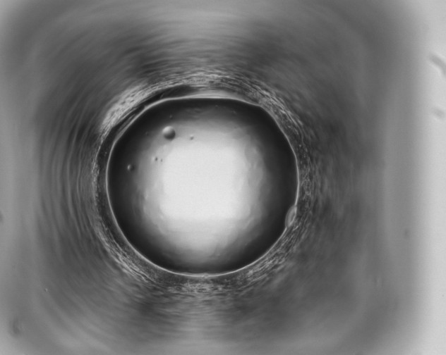 X0000097300242200802221342