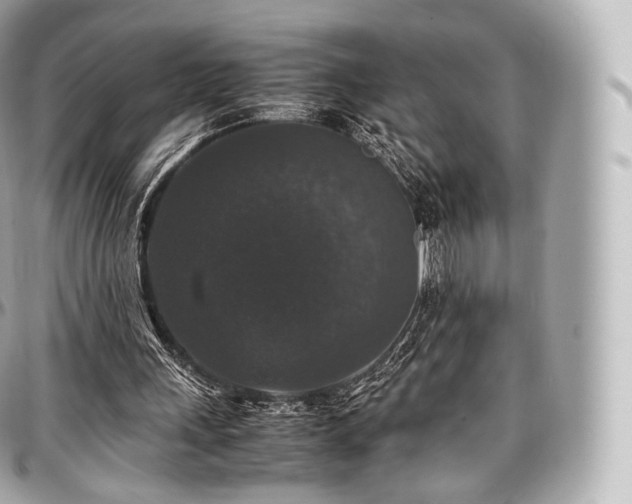 X0000097300243200802221342