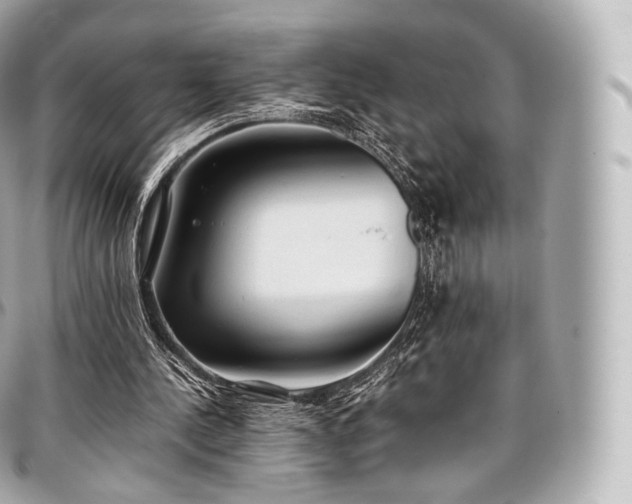 X0000097300244200802221342