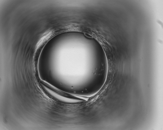 X0000097300245200802221342