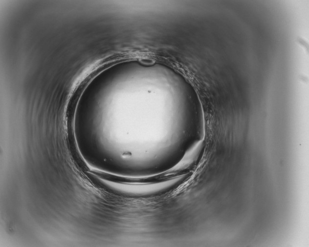 X0000097300246200802221342