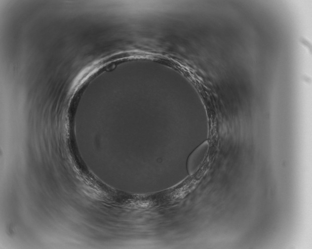 X0000097300247200802221342