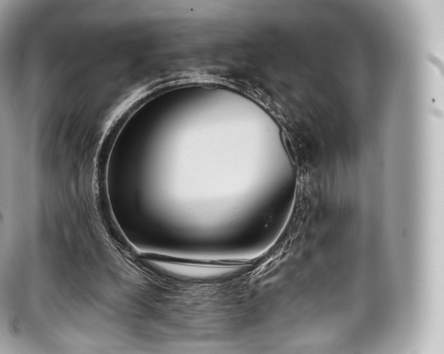 X0000097300248200802221342