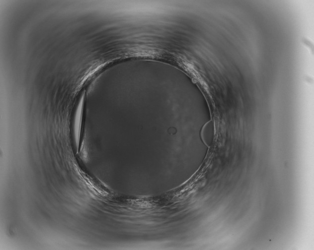 X0000097300249200802221342