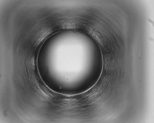 X0000097300251200802221342