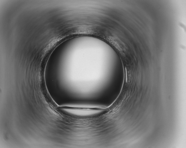 X0000097300252200802221342