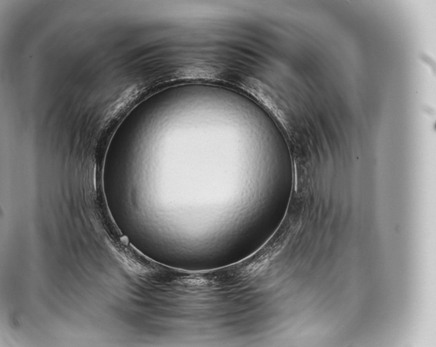 X0000097300253200802221342