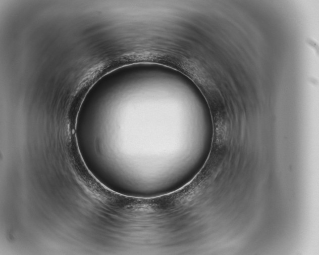 X0000097300254200802221342