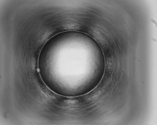 X0000097300255200802221342