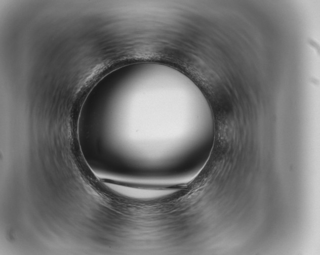 X0000097300256200802221342