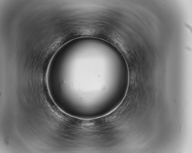 X0000097300257200802221342