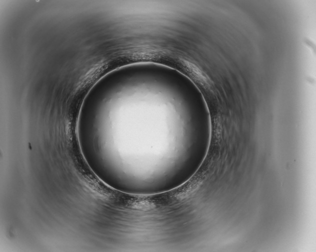 X0000097300258200802221342