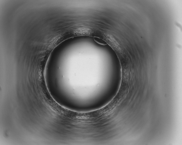 X0000097300259200802221342