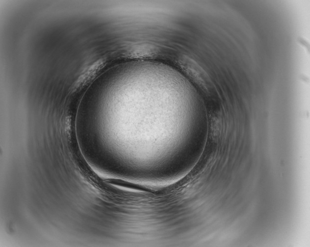 X0000097300260200802221342